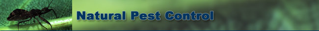 NCO Natural Pest Control